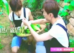 吃瓜星娱乐趣人趣事儿,趣人趣事儿大揭秘