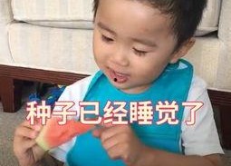 娱乐吃瓜社小鸡嘴